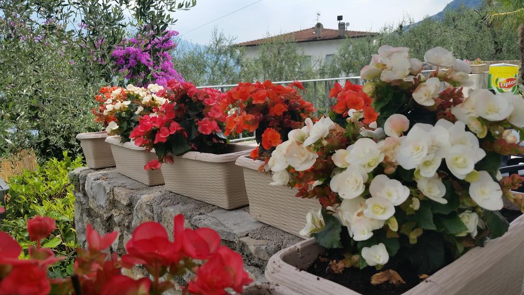 Hotel Augusta Garni Limone sul Garda Zewnętrze zdjęcie