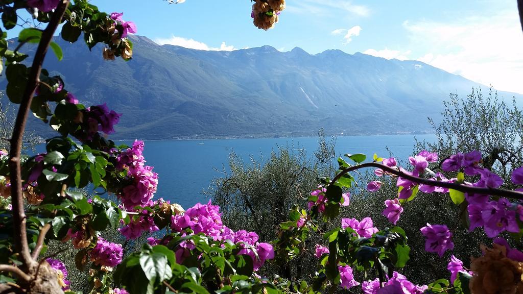 Hotel Augusta Garni Limone sul Garda Zewnętrze zdjęcie