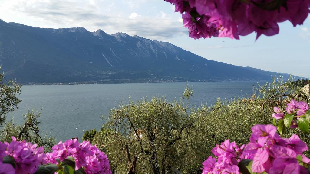 Hotel Augusta Garni Limone sul Garda Pokój zdjęcie