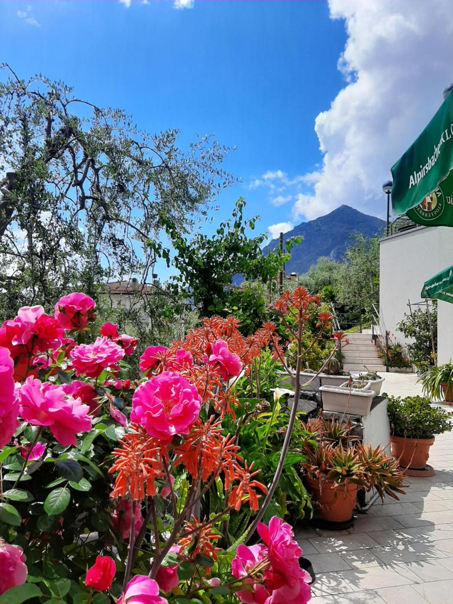 Hotel Augusta Garni Limone sul Garda Zewnętrze zdjęcie