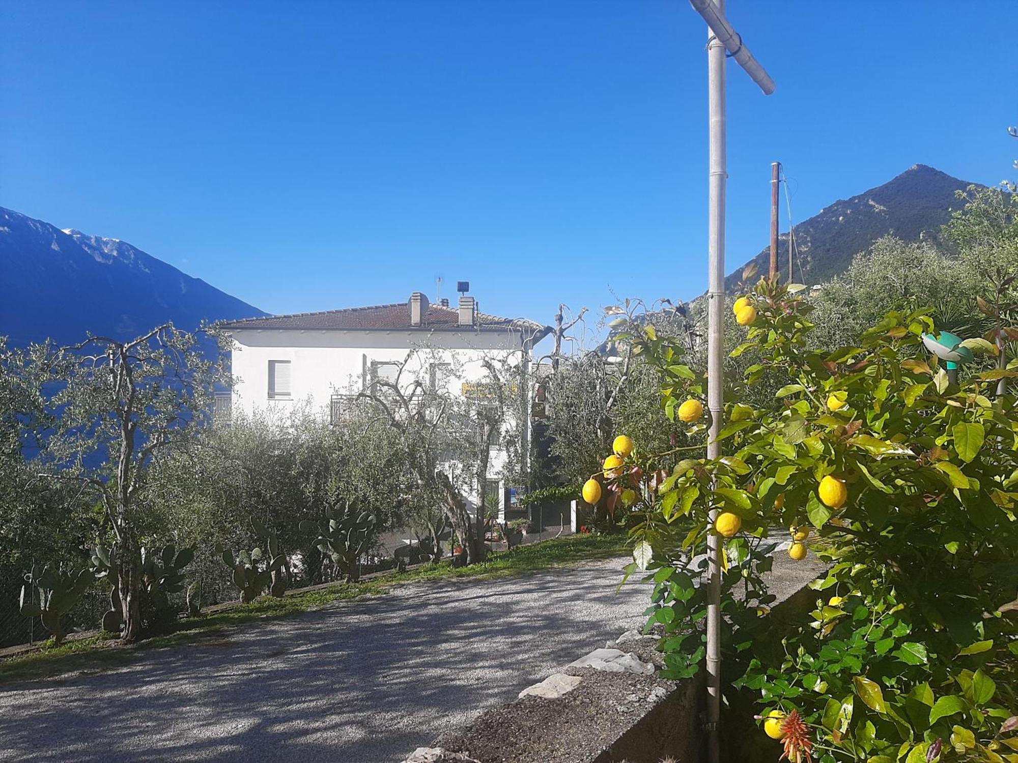 Hotel Augusta Garni Limone sul Garda Zewnętrze zdjęcie